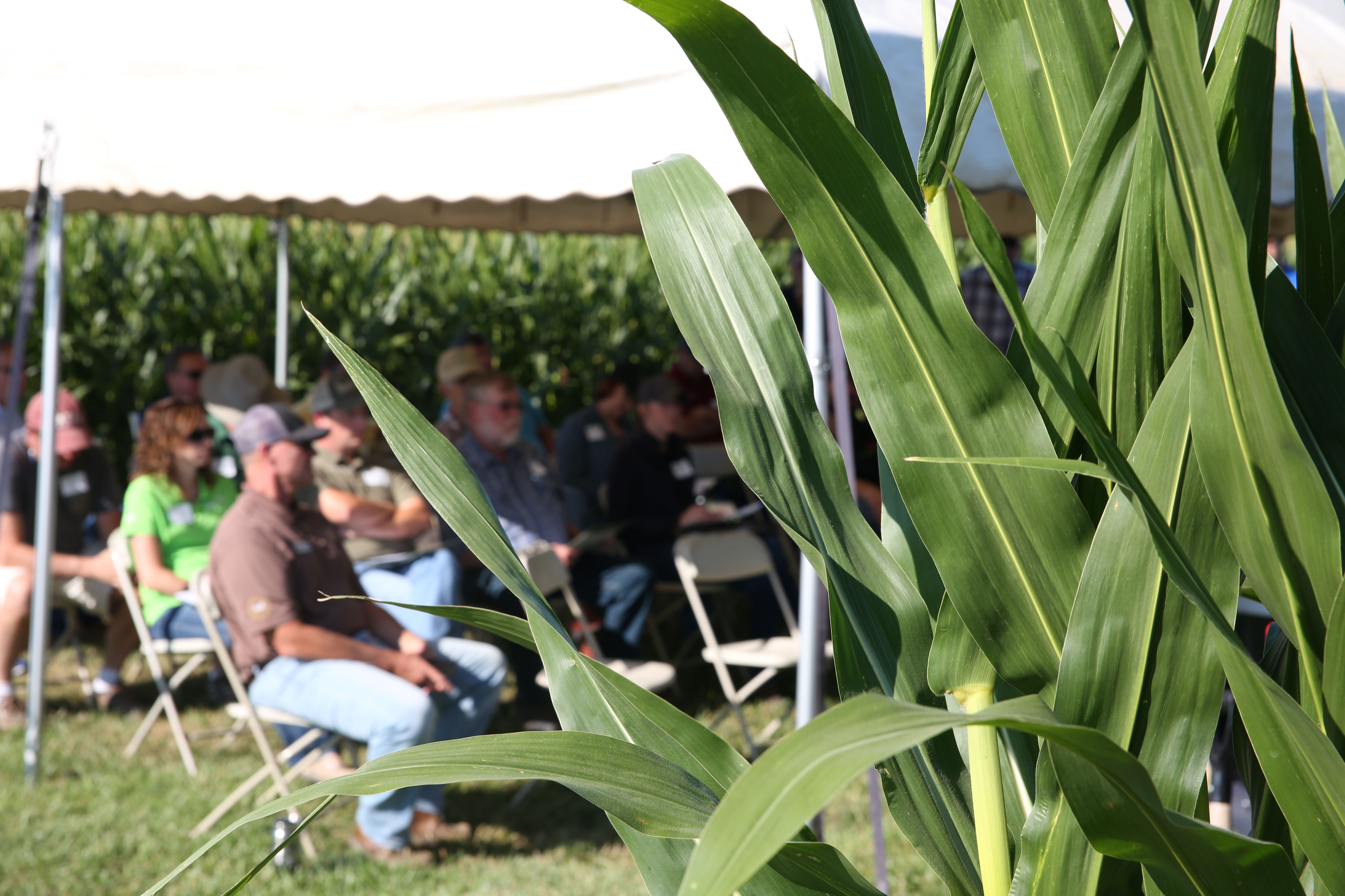 2018 ASC Summer Workshop & Field Day
